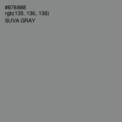 #878888 - Suva Gray Color Image